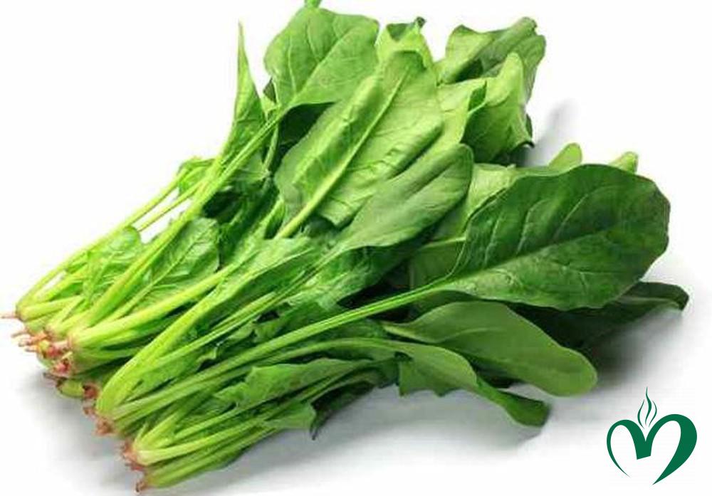 Cải bó xôi Cải bó xôi