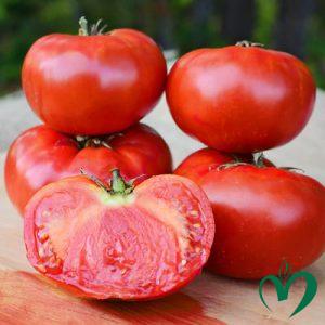 Cà chua Beefsteak Cà chua Beefsteak