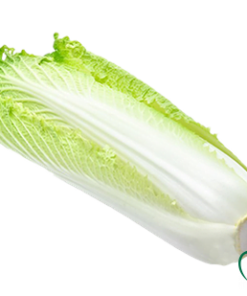 Cải thảo hỏa tiễn