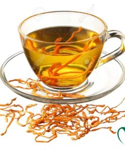 trà đông trùng hạ thảo