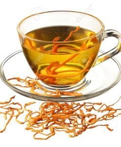 trà đông trùng hạ thảo