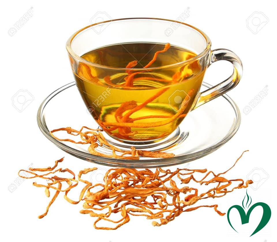 91039730_954873691609108_8434239132712042496_n trà đông trùng hạ thảo