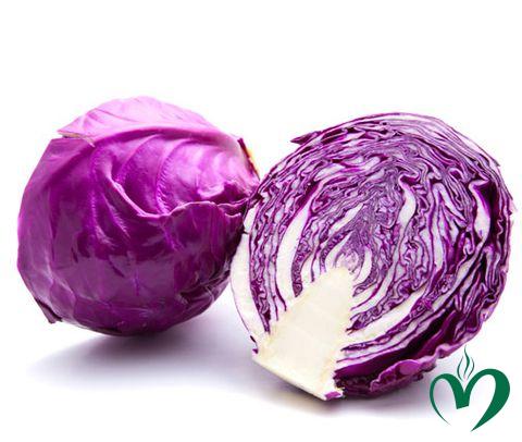 BẮP CẢI TÍM Bắp cải tím
