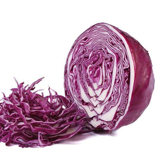 Bắp cải đỏ Bắp cải đỏ