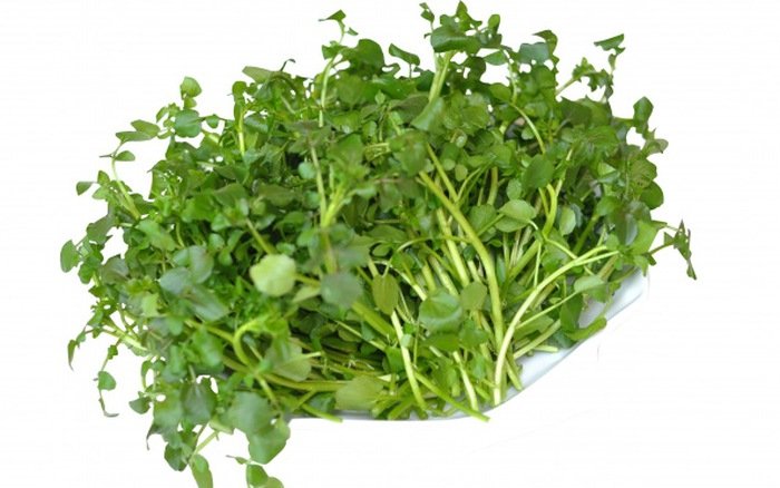 Cải xoong Cải xoong