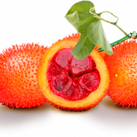 Gấc