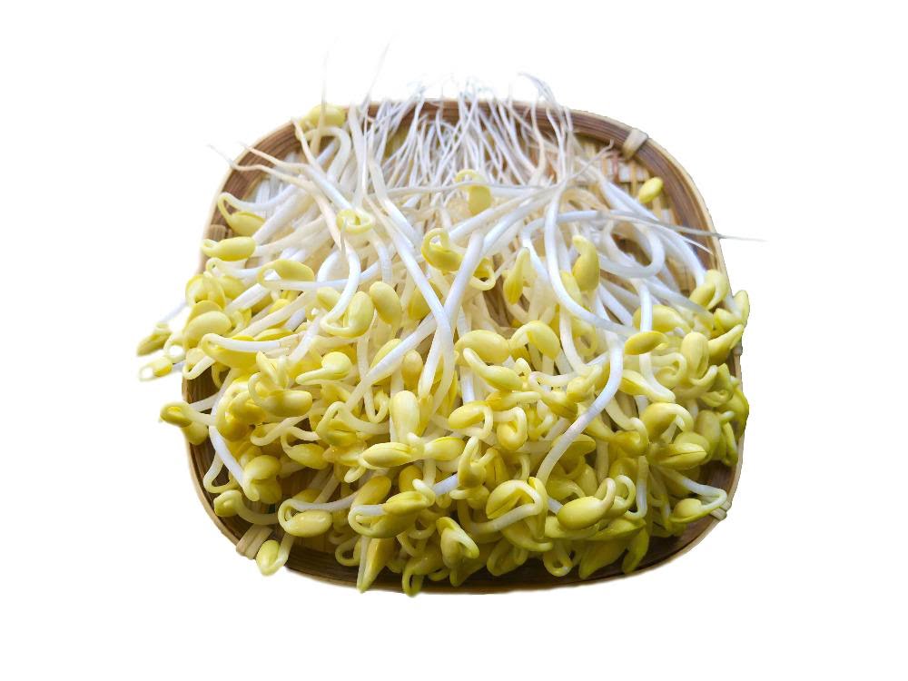 Giá đậu tương Giá đậu tương