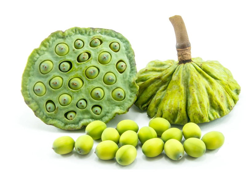Hạt sen tươi Hạt sen tươi