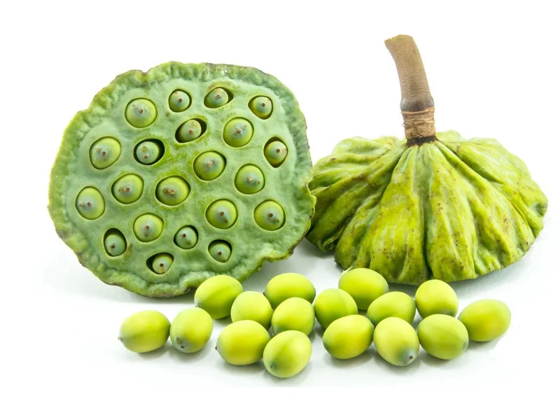 Hạt sen tươi Hạt sen tươi