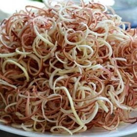 Hoa chuối