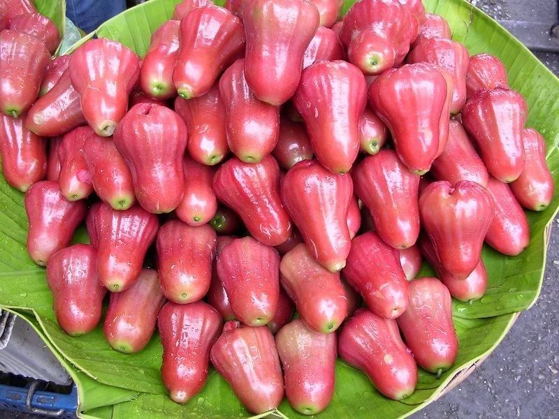 Mận hồng đào