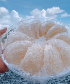 Yến tổ sạch 100gr