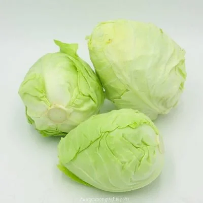 Bắp cải trái tim