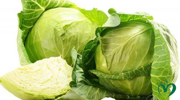 bap-cai-trang-3 Bắp cải trắng