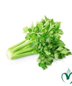 Cần tây Đà Lạt 1kg