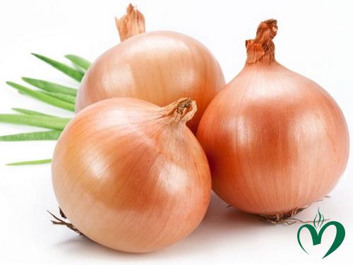 cu-hanh-tay-1 Hành tây