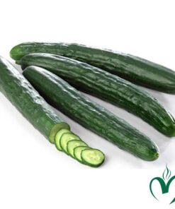 Dưa Leo giống Nhật 1kg