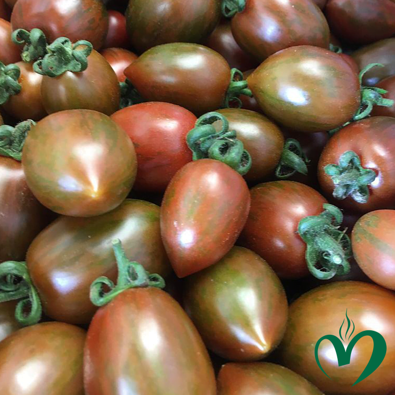 Cà chua Socola Cà chua Socola