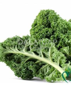 Cải Xoăn (Kale) Đà Lạt 1kg
