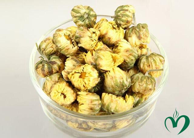 nu cuc Cúc nụ