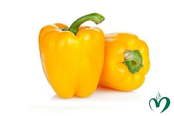 ot-chuong-vang Ớt chuông vàng