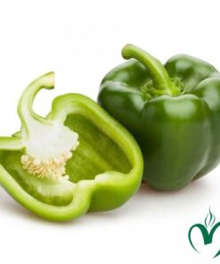 Ớt chuông xanh
