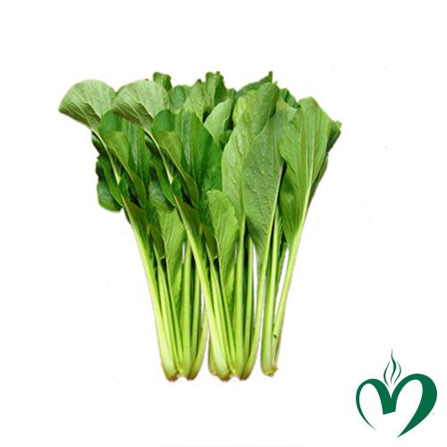 Cải ngọt Cải ngọt