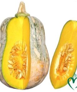 Bí hồ lô Đà Lạt 1kg