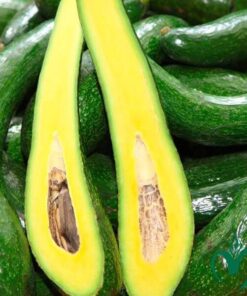 Bơ 034 lớn (3, 4 trái/kg)