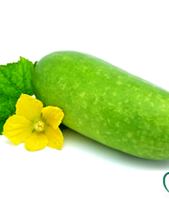 Bí đao xanh Đà Lạt 1kg