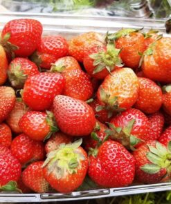 Dâu tây Đà Lạt loại 3- hộp 1kg