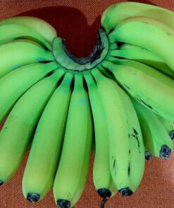 Chuối laba Đà Lạt -nải 2-3kg