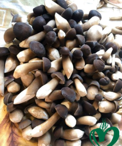 Nấm mối đen tươi 500gr