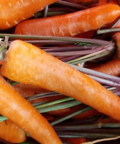 Cà rốt Đà Lạt 1kg