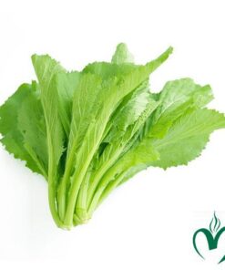 Cải bẹ xanh Đà Lạt 1kg