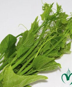 Đọt su Đà Lạt 1kg