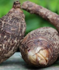 Khoai môn Đà Lạt 1kg