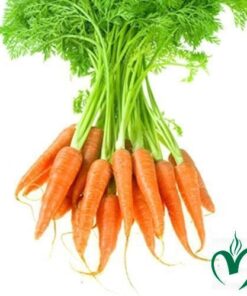 Cà Rốt Baby Đà Lạt 1kg