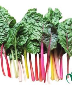 Cải Cầu Vồng Đà Lạt 1kg