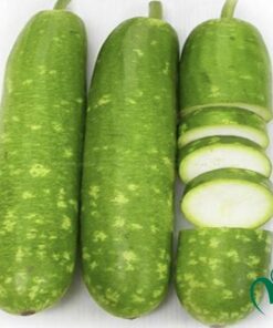 Bầu canh Đà Lạt 1kg