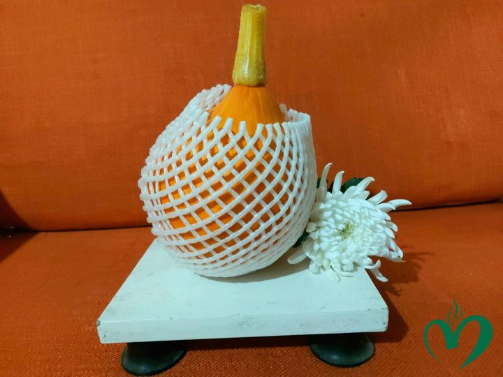 bó giọt nước 2 Bí giọt nước
