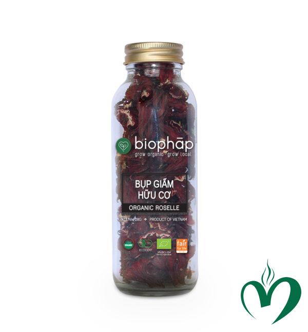 bụp giấm Bụp giấm