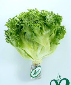 Xà lách Thủy Tinh Đà Lạt 1kg