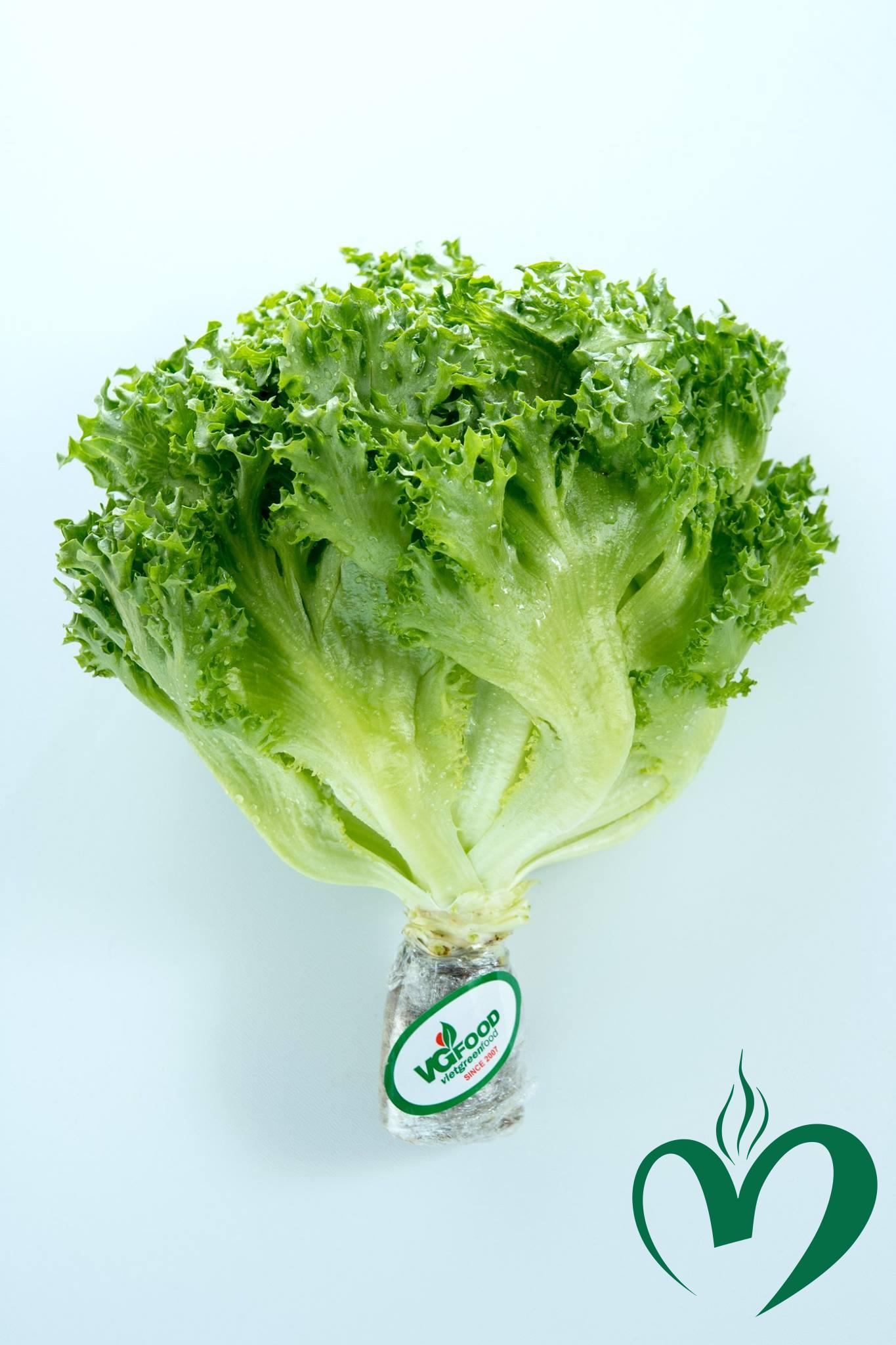 xa-lach-thuy-tinh